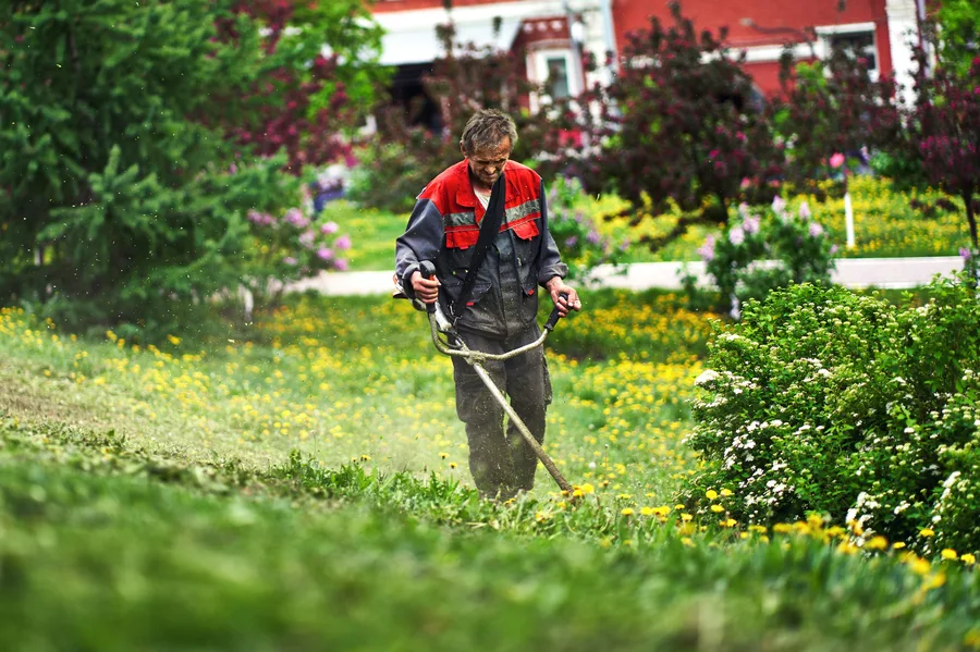 Jardinero profesional manteniendo jardín en Valencia